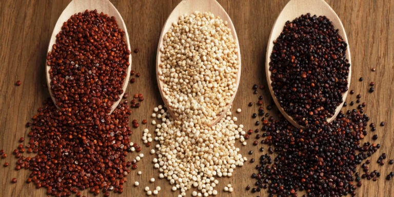 quinoa blanca roja y negra